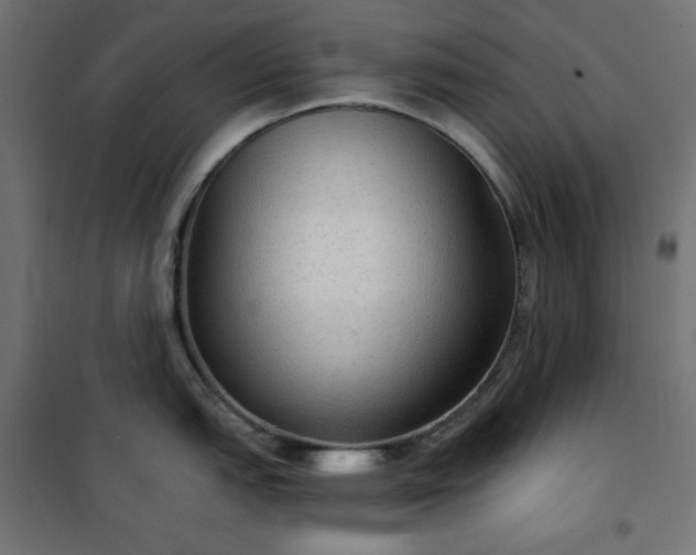 X0000101151151200807071143