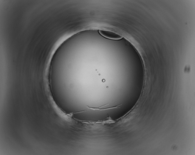 X0000101151152200807071143