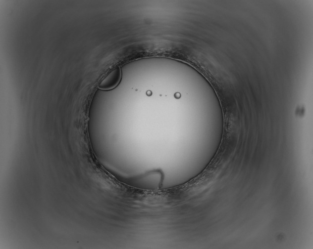 X0000101151153200807071142