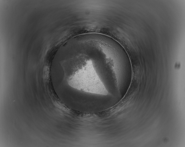 X0000101151154200807071142