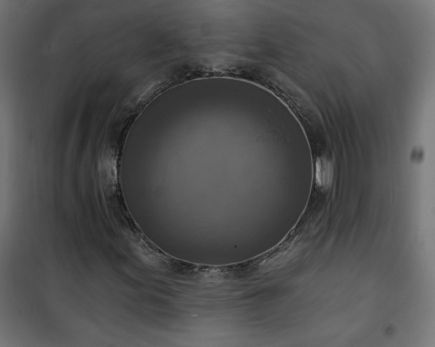 X0000101151155200807071142