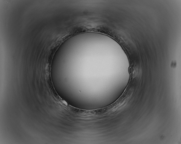 X0000101151156200807071142