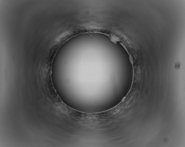 X0000101151157200807071142