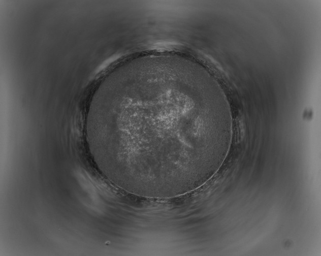 X0000101151158200807071142