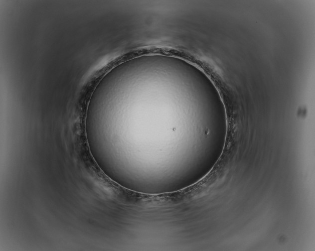 X0000101151159200807071142