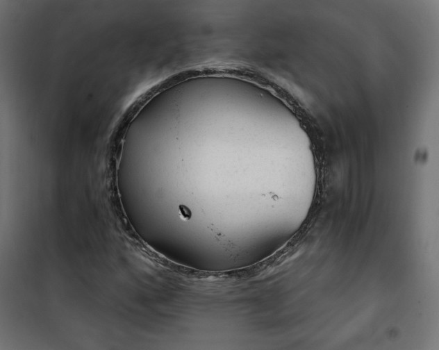 X0000101151160200807071142