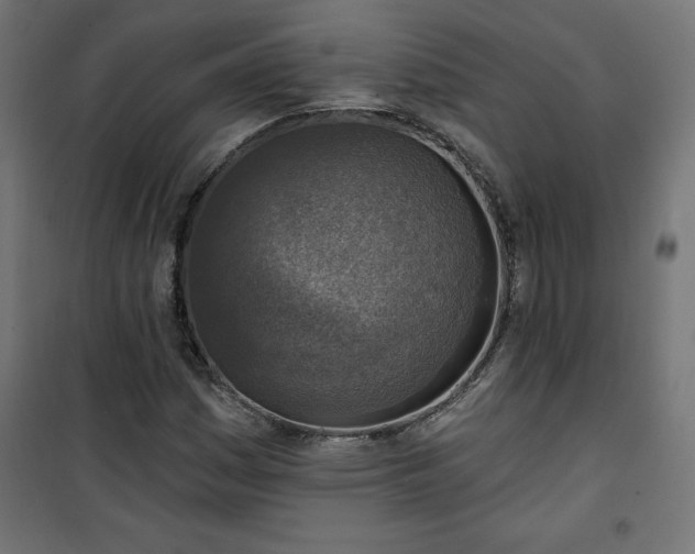 X0000101151161200807071142