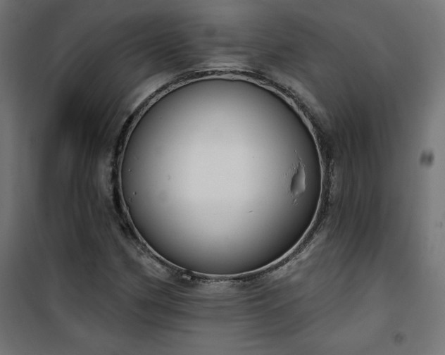 X0000101151162200807071142