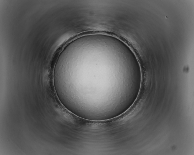 X0000101151163200807071142