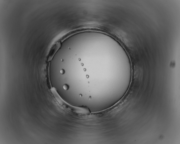 X0000101151164200807071142