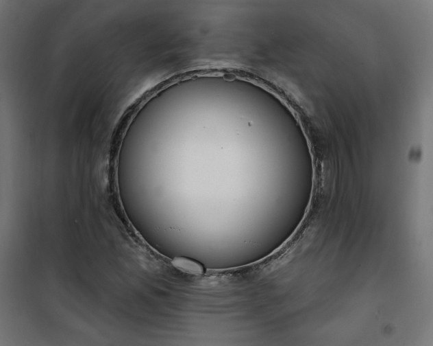 X0000101151165200807071142