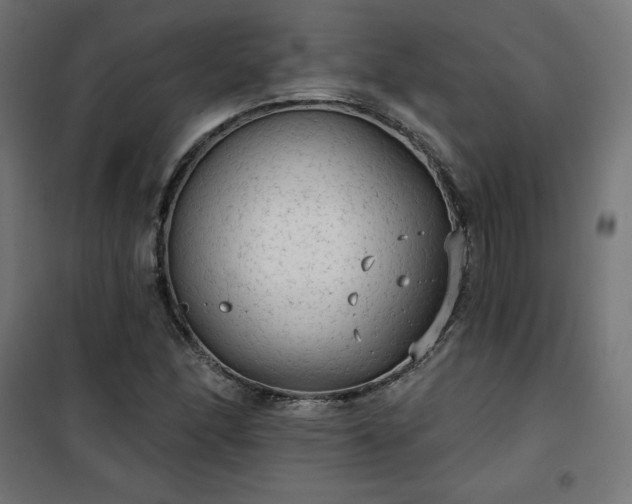 X0000101151166200807071142