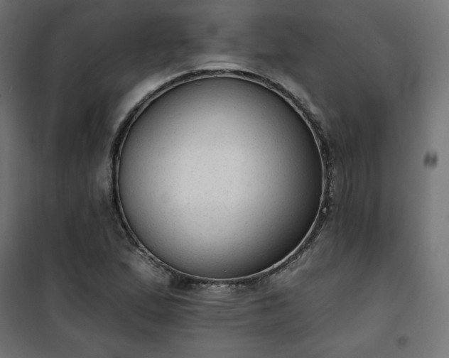 X0000101151167200807071142