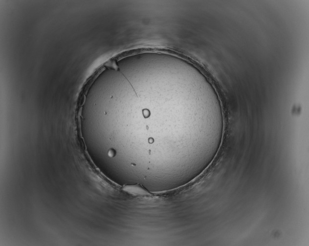 X0000101151168200807071142