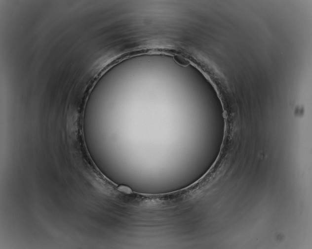 X0000101151169200807071142