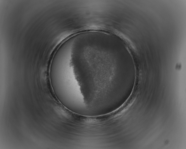 X0000101151170200807071142