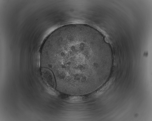 X0000101151171200807071142