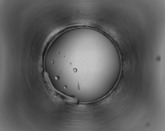 X0000101151172200807071142