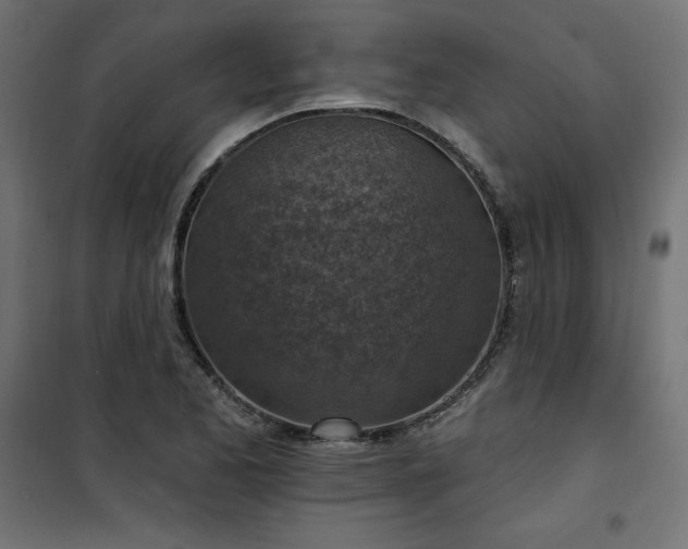 X0000101151173200807071142