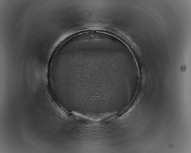 X0000101151174200807071142