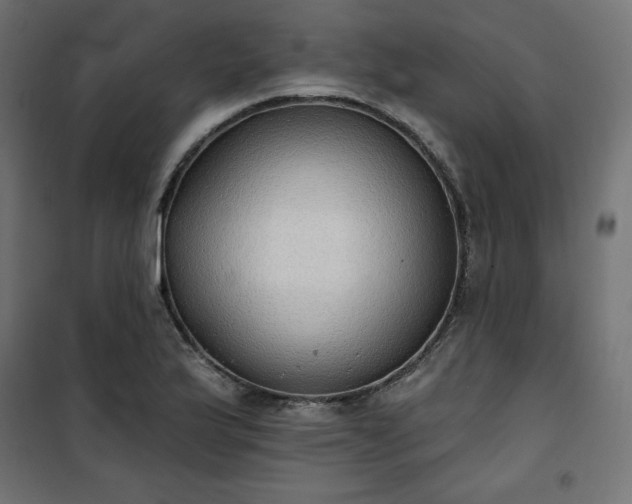 X0000101151175200807071142