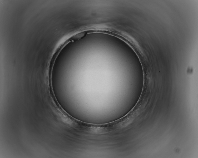 X0000101151176200807071142