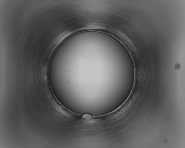 X0000101151177200807071142