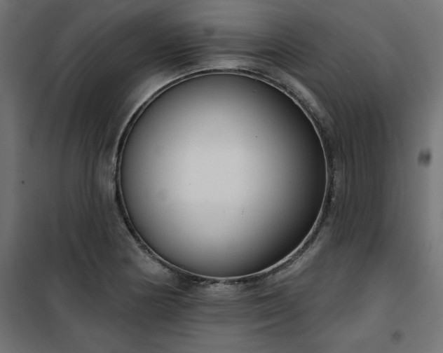 X0000101151178200807071142