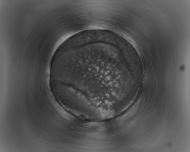 X0000101151179200807071142