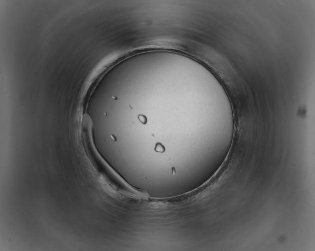 X0000101151180200807071142