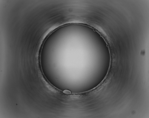 X0000101151181200807071142