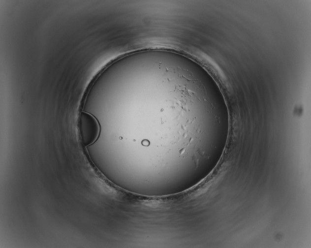 X0000101151182200807071142