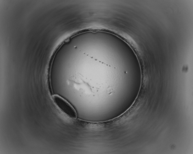 X0000101151183200807071142