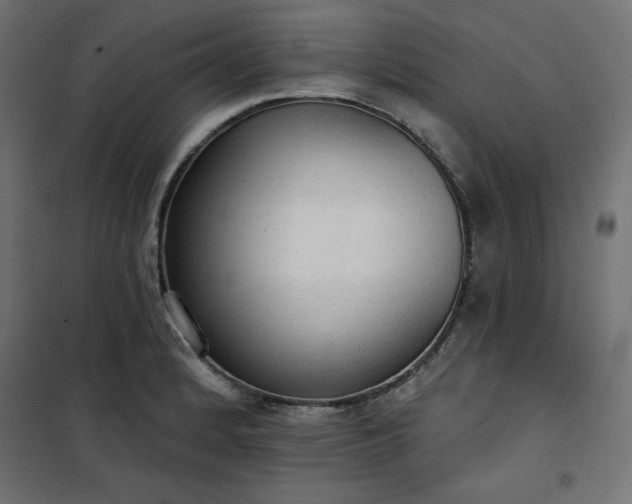 X0000101151184200807071142