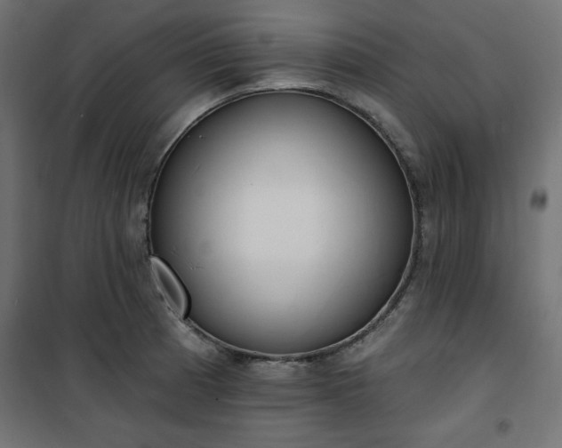 X0000101151185200807071142