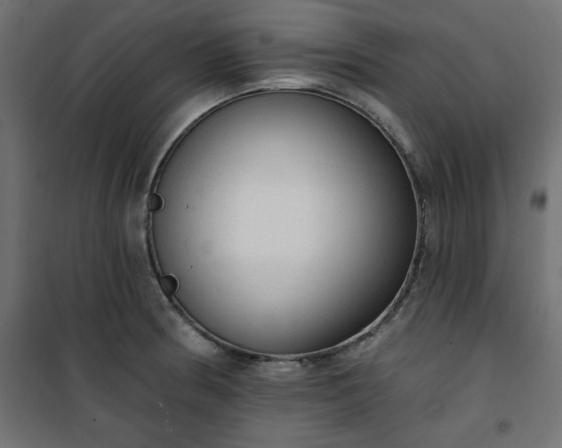 X0000101151186200807071142