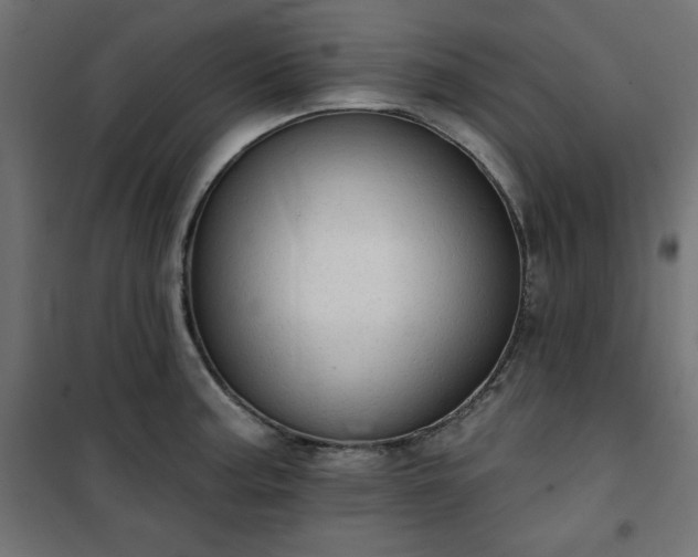 X0000101151187200807071142