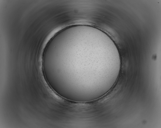 X0000101151188200807071142