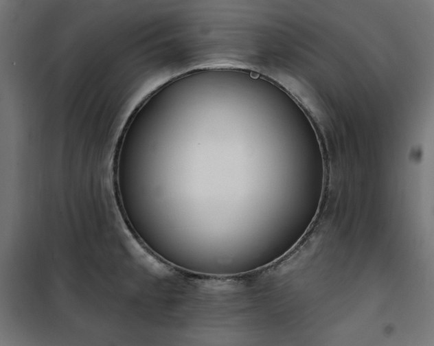 X0000101151189200807071142