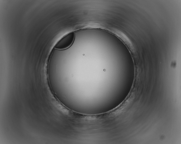 X0000101151190200807071142