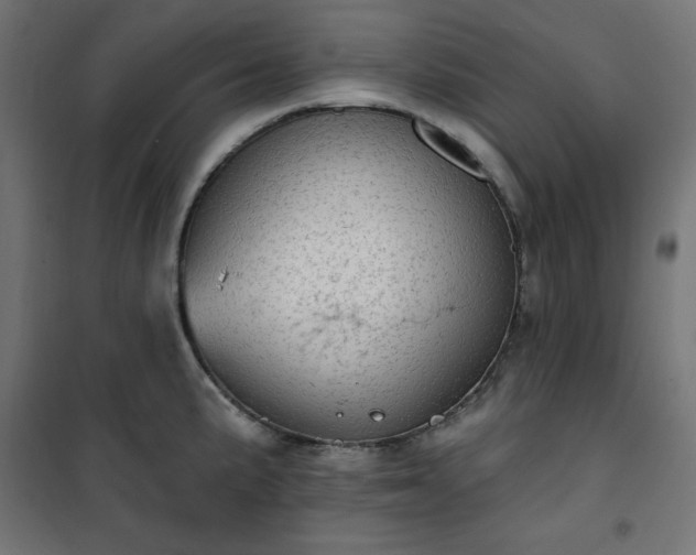 X0000101151191200807071142