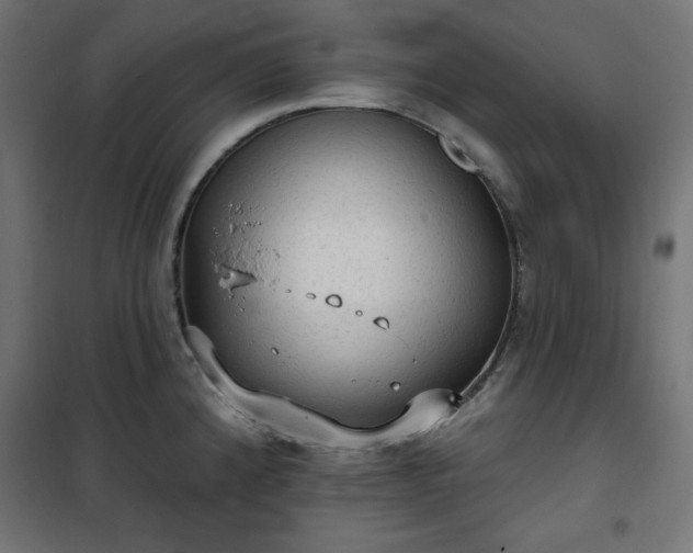 X0000101151192200807071142