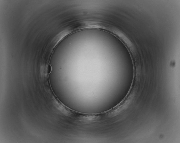 X0000101151193200807071142