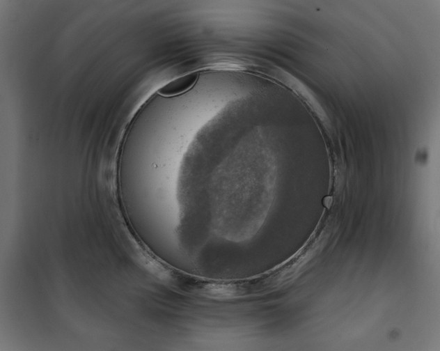 X0000101151194200807071142