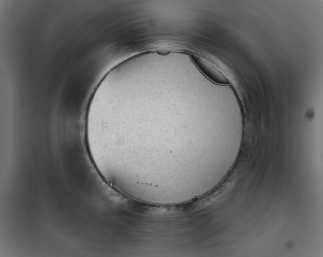 X0000101151195200807071142