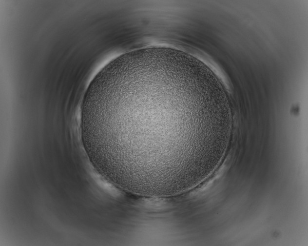 X0000101151198200807071142