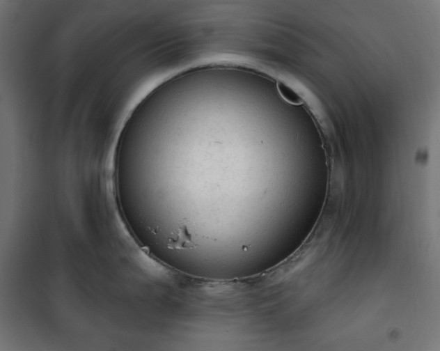 X0000101151199200807071142