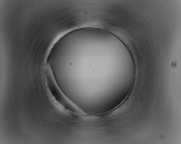 X0000101151200200807071142