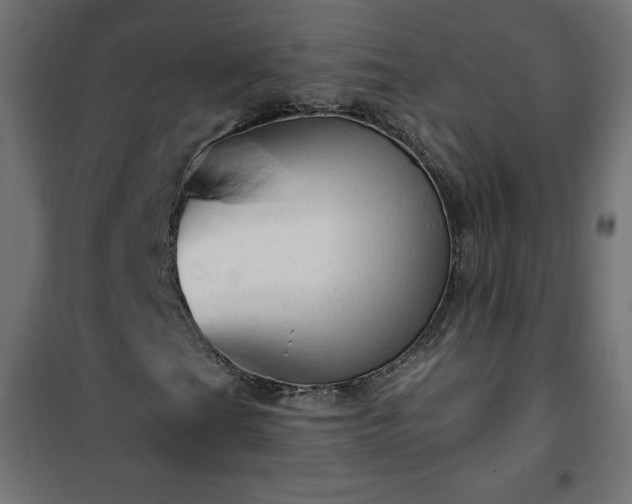 X0000101151201200807071141