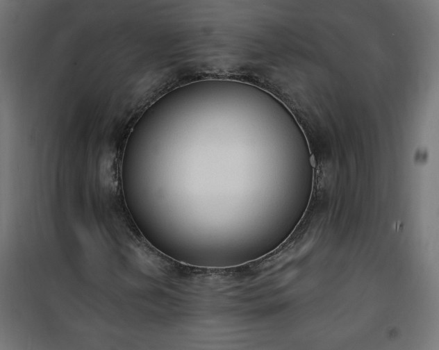 X0000101151202200807071141